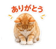 838830297