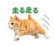 838830312
