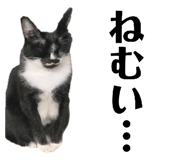 838830328
