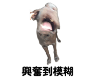 838830706