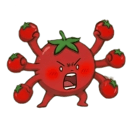 838830962