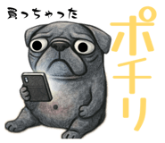 838831154