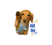 838831284