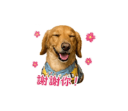 838831285
