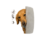 838831286
