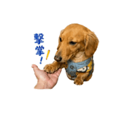 838831293