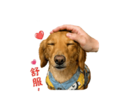 838831296