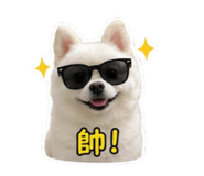 838831304