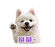 838831315