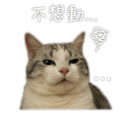 838831869