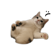 838831872