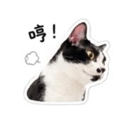 838832331