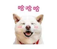 838832355