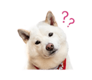 838832359