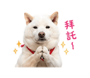 838832362