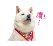 838832364