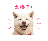 838832365