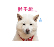 838832366