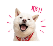 838832367