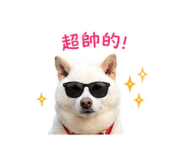 838832372