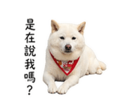 838832378