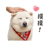 838832382