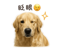 838832889