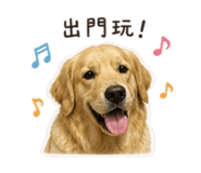 838832893
