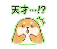 838837205