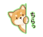 838837208