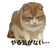 838837473