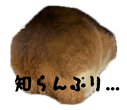 838837476