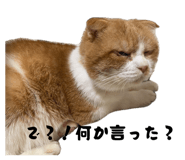 838837477