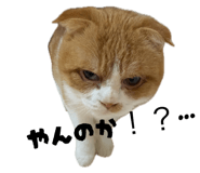 838837480