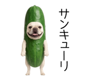 838838240