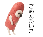 838838244
