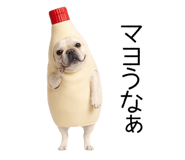 838838258