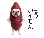 838838261