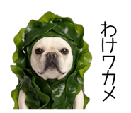838838266