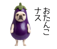 838838269
