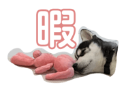 838838380