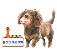 838838765