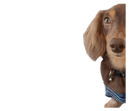 838838768