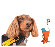 838838784