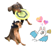 838838785