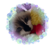 838841408