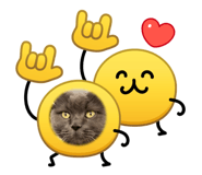 838841416