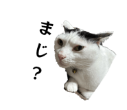 838841434