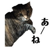838841440