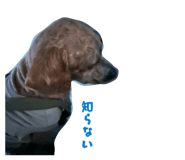 838841493